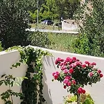 Viki