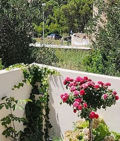 Viki